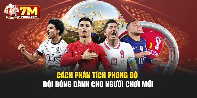 Cách Phân Tích Phong Độ Đội Bóng Dành Cho Người Chơi Mới