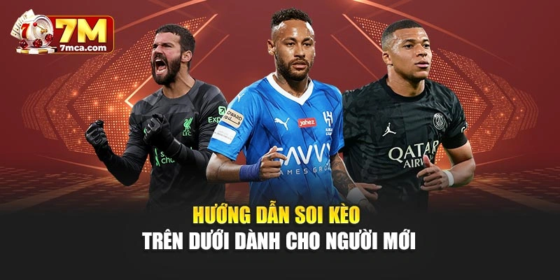Hướng dẫn soi kèo trên dưới dành cho người mới