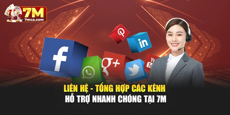 Liên Hệ - Tổng Hợp Các Kênh Hỗ Trợ Nhanh Chóng Tại 7M