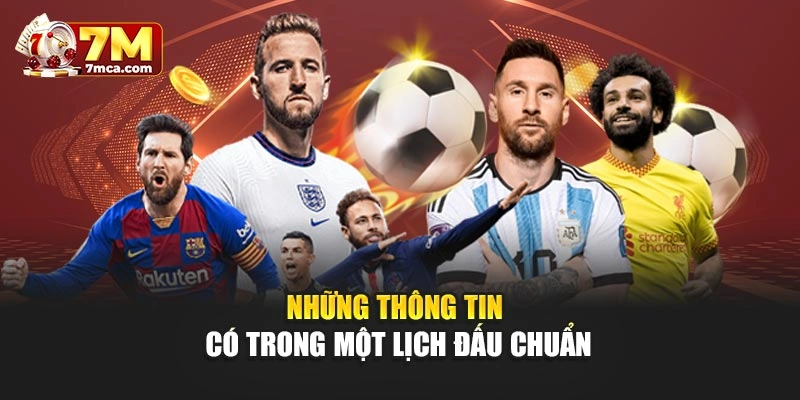 Những thông tin có trong một lịch đấu chuẩn